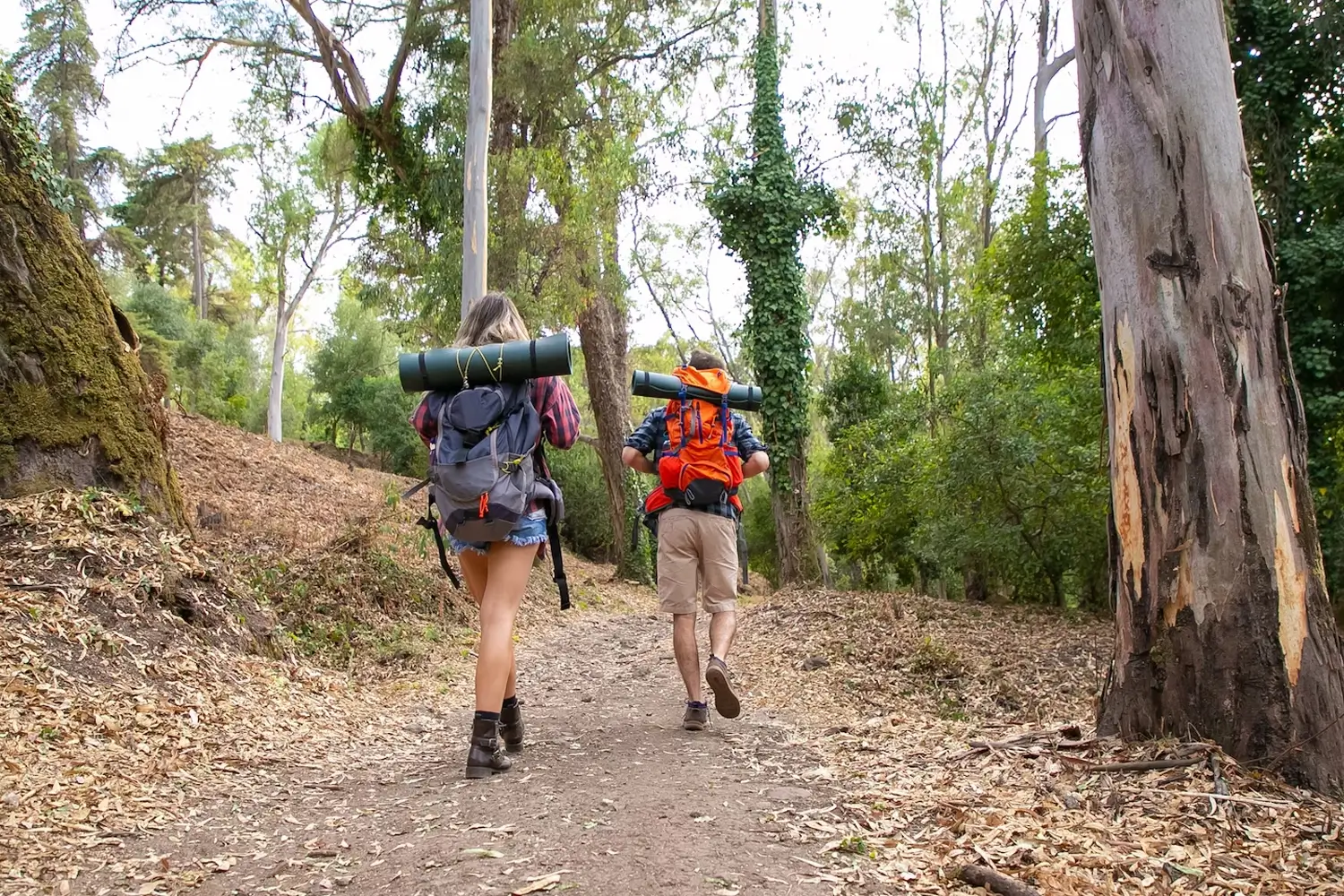 Trekking